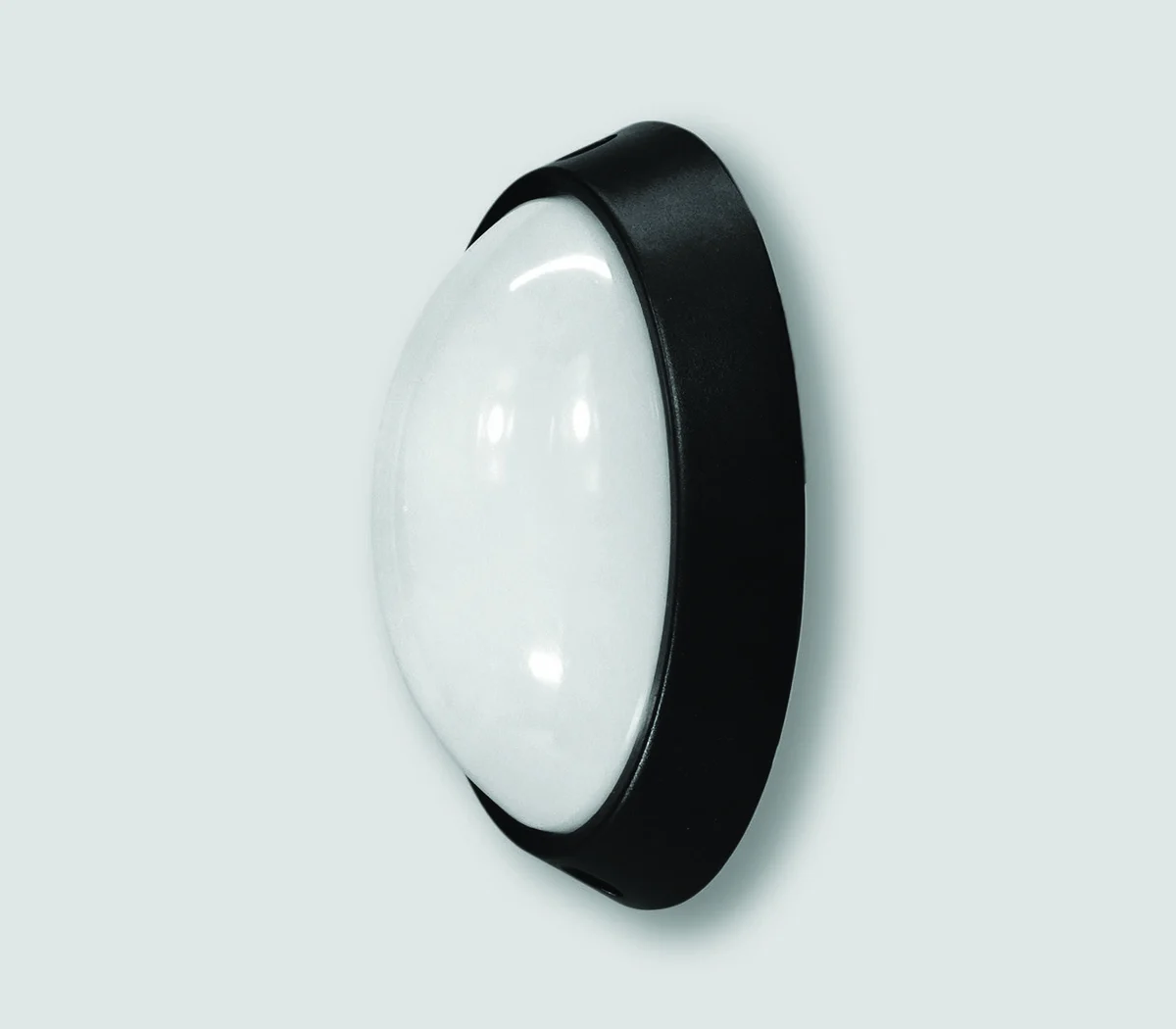 Ellise Dome Bulkhead